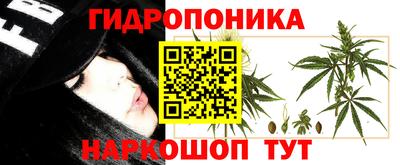 молекула духа Краснознаменск