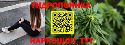 молекула духа Краснознаменск